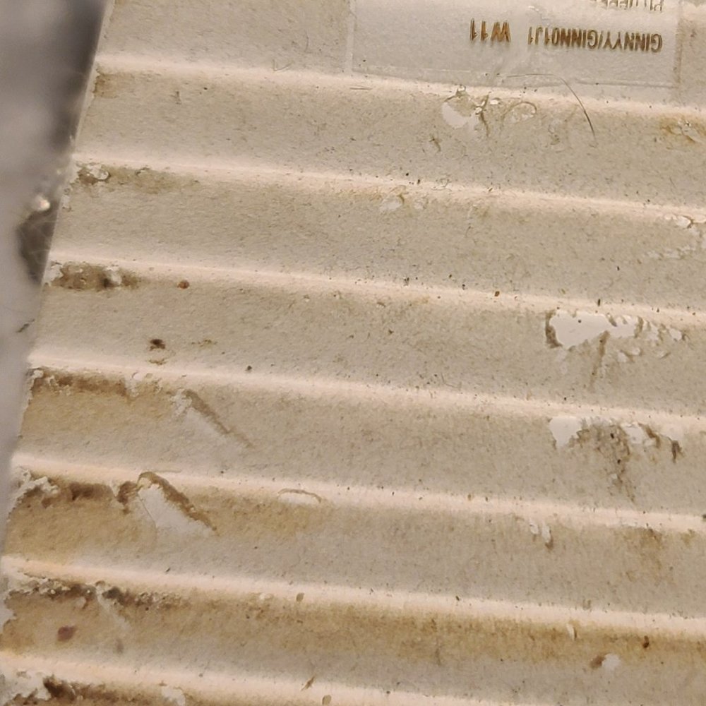 Size 11 silver scandals